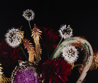 Flowers and Jamorinsky, Tokyo, 2005 – print by Nobuyoshi Araki – OstLicht