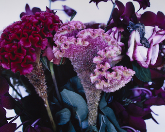 Flowers and Jamorinsky, Tokyo, 2005 – print by Nobuyoshi Araki – OstLicht